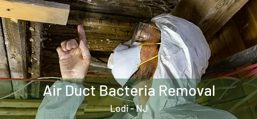  Air Duct Bacteria Removal Lodi - NJ