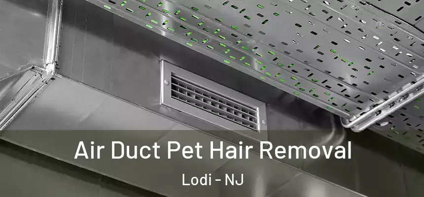  Air Duct Pet Hair Removal Lodi - NJ