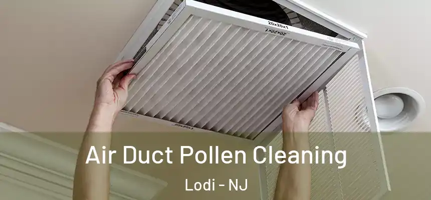  Air Duct Pollen Cleaning Lodi - NJ
