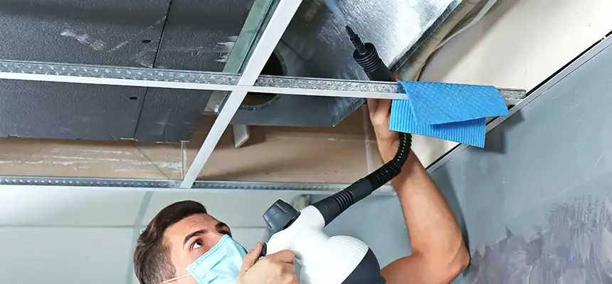 Our Air Duct Rodent Removal Services in Lodi, NJ