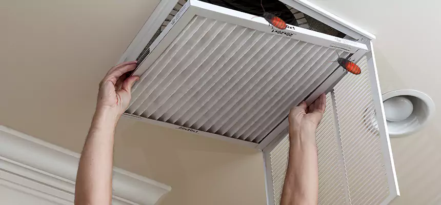 Our Insect Removal from Air Ducts Services in Lodi, NJ