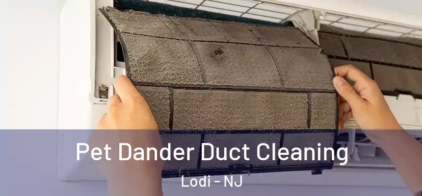  Pet Dander Duct Cleaning Lodi - NJ
