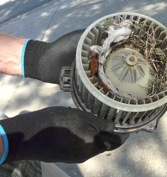 About Air Duct Rat Removal in Lodi, NJ