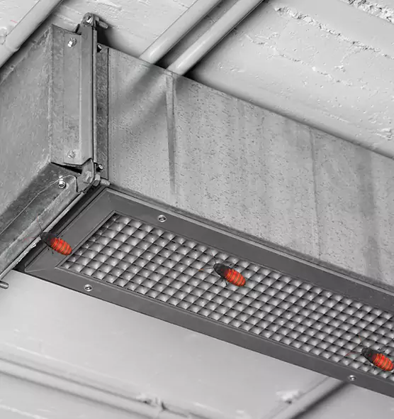 Affordable Insect Removal from Air Ducts in Lodi, NJ