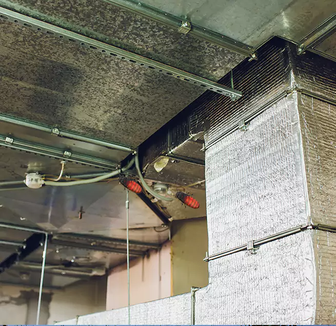 Why Homeowners & Businesses Trust Us Lodi, NJ?